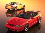 Cars MustangCobra MustangCobra Ford Mustang Cobra 006 jpg  